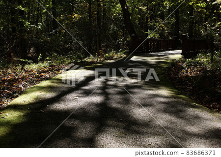Walking the Four Seasons Fall Tashima Kogen Plantation Garden 83686371