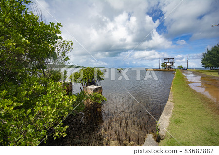 Palau, Ngardmau, Ruins of the Japanese colonial era, the remains of pillars and harbors of the old bauxite transport ropeway 83687882