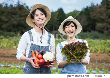 男人和女人在田裡收穫蔬菜 83688148