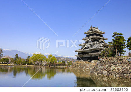 【長野縣】盛開的松本城和白雪皚皚的北阿爾卑斯 【長野縣】盛開的松本城和白雪皚皚的北阿爾卑斯 83688590