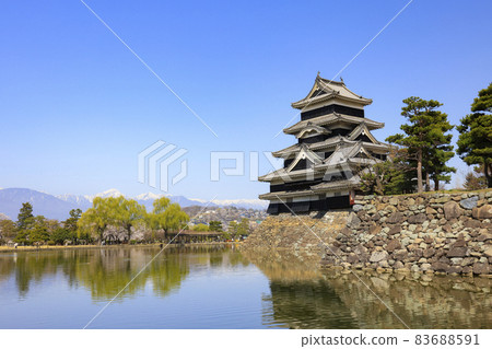 【長野縣】盛開的松本城和白雪皚皚的北阿爾卑斯 【長野縣】盛開的松本城和白雪皚皚的北阿爾卑斯 83688591