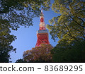東京塔和樹木 83689295