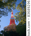 東京塔和樹木 83689296