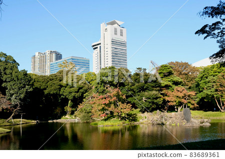 [Tokyo] Koishikawa Korakuen (Autumn) 83689361