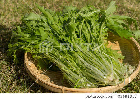 Morning pickled vegetables Morning pickled vegetables 83691013