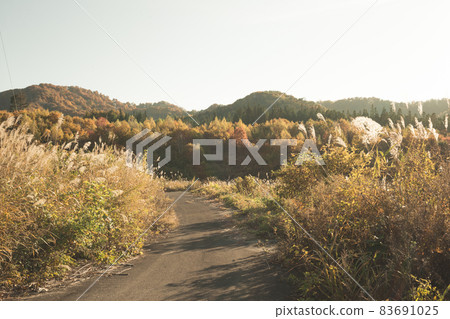 Country road where you can feel the autumn season 83691025