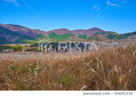 秋天從箱根仙石原薄木草原望向北側足柄山 秋天從箱根仙石原薄木草原望向北側足柄山 83691350