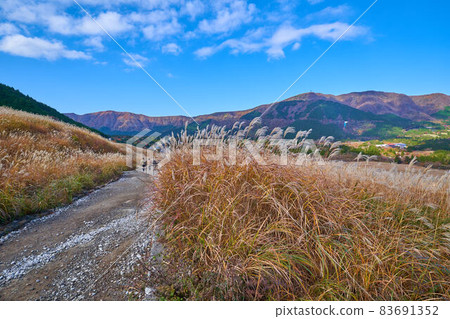 箱根秋天的仙石原薄月草原（從西側長尾坳方向的人行道） 83691352