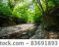A riverbank with beautiful dark green 83691893