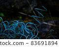 Waste from the campsite Blue spring 83691894