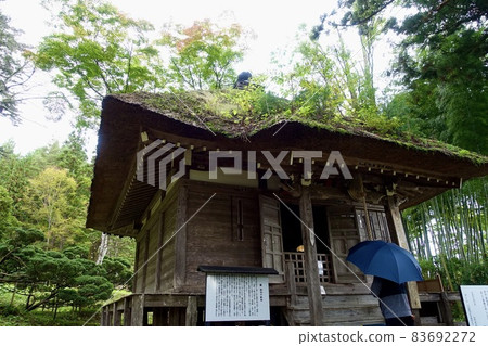 Rainy day with hands on the mossy Mido Rainy day with hands on the mossy Mido 83692272