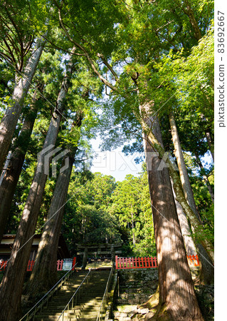 [Aichi Prefecture] Horaisan Toshogu 83692667