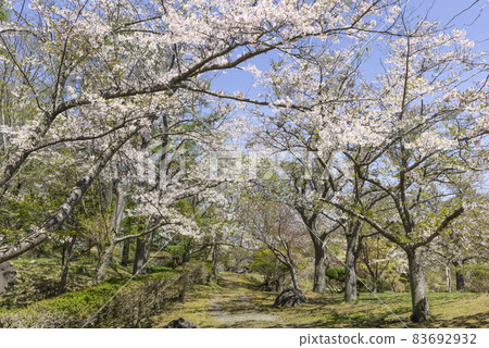 Usucho善光寺自然公園 北海道伊達市 Usucho善光寺自然公園 北海道伊達市 83692932