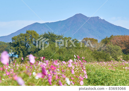 筑波山 筑波山 83693066