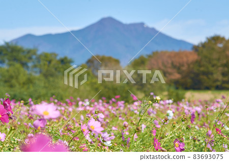 筑波山 筑波山 83693075