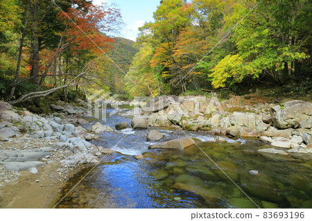 秋葉的低語谷 83693196