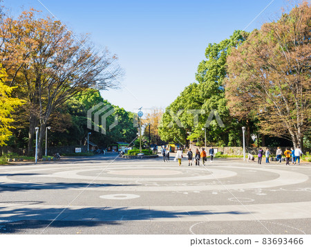 Yoyogi Park Harajuku Gate 83693466