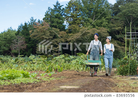 Young men and women enjoying field work Young men and women enjoying field work 83693556