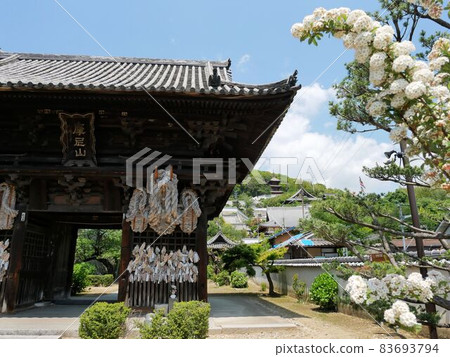 春天的西極寺,廣島縣尾道市 春天的西極寺,廣島縣尾道市 83693794