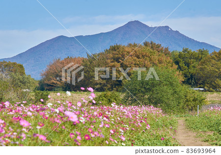 筑波山 83693964