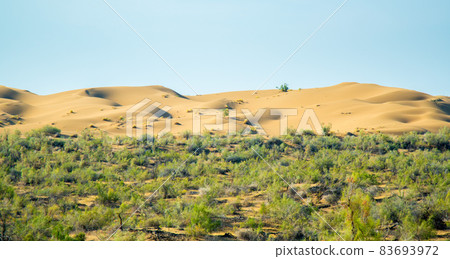 Panoramic view of the sand dunes Panoramic view of the sand dunes 83693972