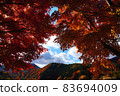 日本的秋葉福島縣大內宿的美麗秋葉 83694009