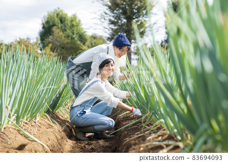 Young men and women enjoying field work 83694093