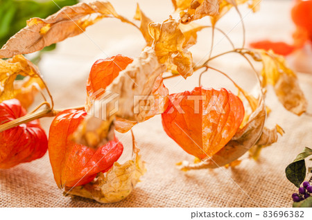 Dried flower Dried flower 83696382