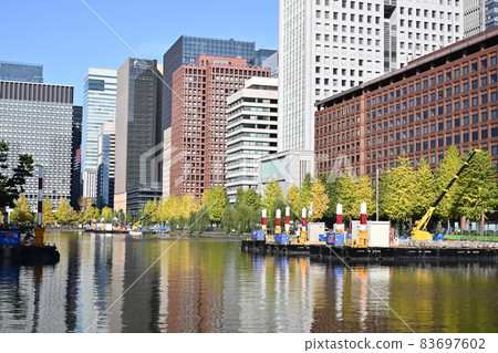 東京皇居的堀端風光：秋天的銀杏在這個季節開始變色。 83697602