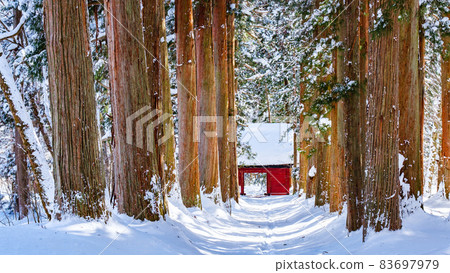 Togakushi Shrine / Okusha (winter) 83697979