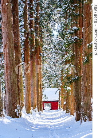 Togakushi Shrine / Okusha (winter) 83697988