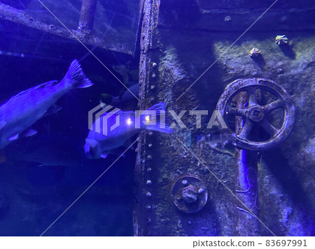 Cover of the upper manhole of a submarine with a red rotary valve wheel 83697991