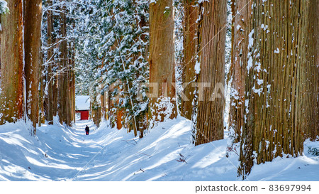 Togakushi Shrine / Okusha (winter) 83697994