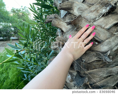 Closeup of child hand touching old tree. World Earth Day. Save the planet nature environment concept. Connection with mother nature. Banner header for a website Closeup of child hand touching old tree. World Earth Day. Save the planet nature environment concept. Connection with mother nature. Banner header for a website 83698046