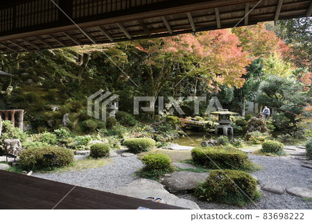 秋葉在日本庭院裡 83698222