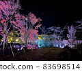 Beautiful illuminated tree 83698514