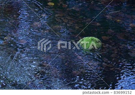 清澈的溪水氾起漣漪，石頭上長滿青苔～上高地～ 83699152