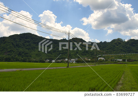 【相模原市】相模川大島中洲的風景 83699727