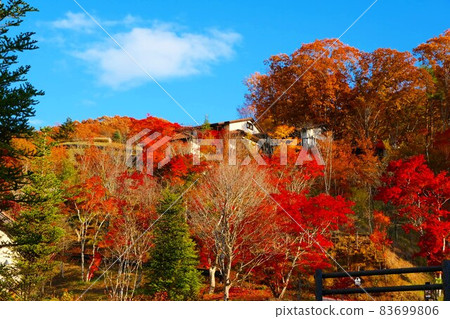 It is the autumn leaves of a new hotel recently opened in Karuizawa. The entire slope leading to the hotel on the hill is colored with autumn colors and it is very beautiful. 83699806