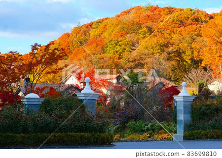 It is the autumn leaves of a new hotel recently opened in Karuizawa. The entire site is unified with a South French style building and it is very beautiful 83699810