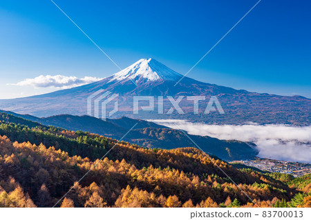 (Yamanashi Prefecture) Yellow leaves of larch, sea of clouds on Lake Kawaguchi and Mt. Fuji (Yamanashi Prefecture) Yellow leaves of larch, sea of clouds on Lake Kawaguchi and Mt. Fuji 83700013