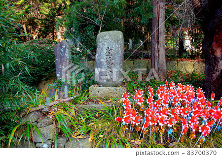 [Yamagata] Autumn Yamadera (Rissshakuji) Prince Shotoku's stone monument and windmill 83700370