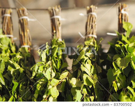 Birch brooms hang under a canopy, dried for further use in a Russian bath. Preparation of bath brooms for future use. Birch brooms hang under a canopy, dried for further use in a Russian bath. Preparation of bath brooms for future use. 83700502