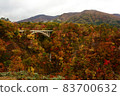 Autumn leaves of Naruko Gorge in Miyagi 83700632