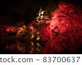 The fiery autumn of Hirosaki Castle 83700637