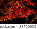 Autumn leaves wet with rain dew 83700639