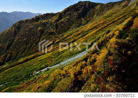 金州立山黑部阿爾卑斯山脈路線(可以欣賞到丹波平(Kurobedaira&Daikanbo)的壯麗景色的紅葉) 金州立山黑部阿爾卑斯山脈路線(可以欣賞到丹波平(Kurobedaira&Daikanbo)的壯麗景色的紅葉) 83700711