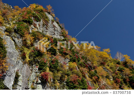 Tateyama Kurobe Alpine Route in Kinshu (Autumn leaves with a spectacular view of Tanbodaira (Kurobedaira & Daikanbo)) Tateyama Kurobe Alpine Route in Kinshu (Autumn leaves with a spectacular view of Tanbodaira (Kurobedaira & Daikanbo)) 83700738