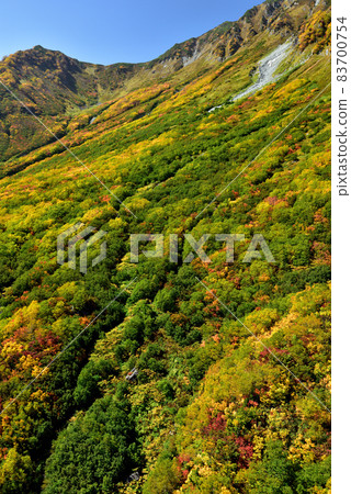 Tateyama Kurobe Alpine Route in Kinshu (Autumn leaves with a spectacular view of Tanbodaira (Kurobedaira & Daikanbo)) Tateyama Kurobe Alpine Route in Kinshu (Autumn leaves with a spectacular view of Tanbodaira (Kurobedaira & Daikanbo)) 83700754