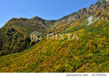 金州立山黑部阿爾卑斯山脈路線(可以欣賞到丹波平(Kurobedaira&Daikanbo)的壯麗景色的紅葉) 金州立山黑部阿爾卑斯山脈路線(可以欣賞到丹波平(Kurobedaira&Daikanbo)的壯麗景色的紅葉) 83700840